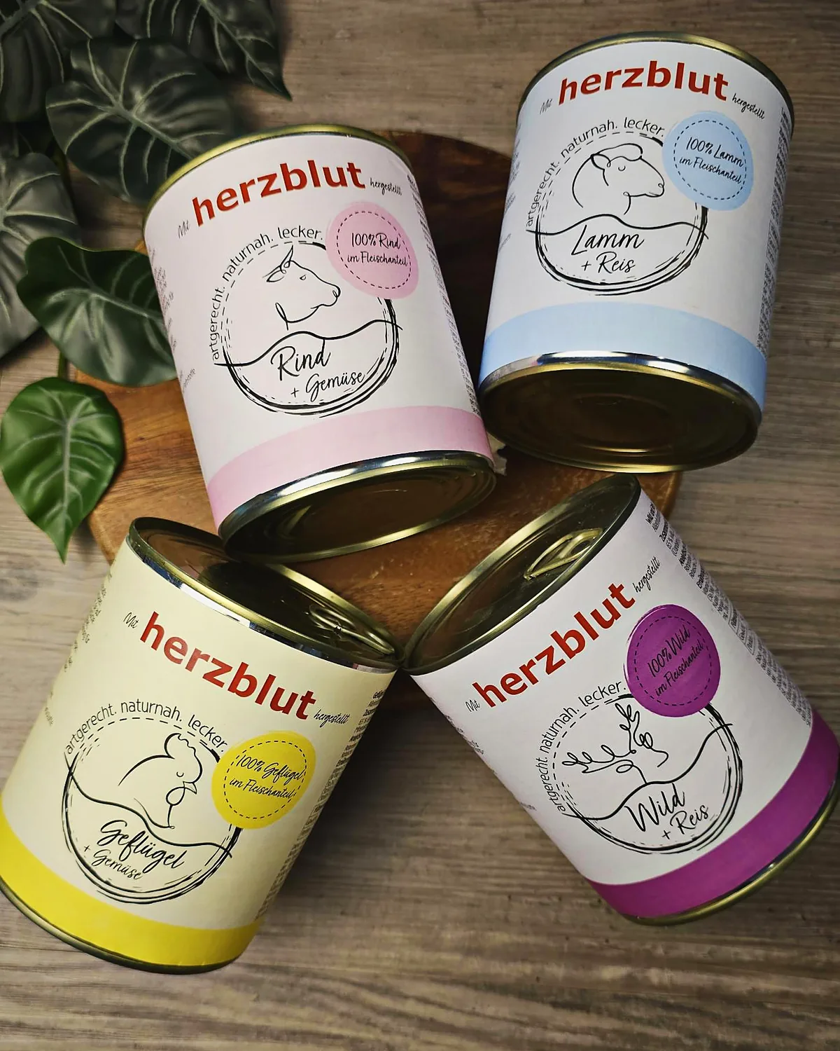 Probierpaket — 4 Sorten