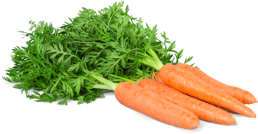 beautiful carrots